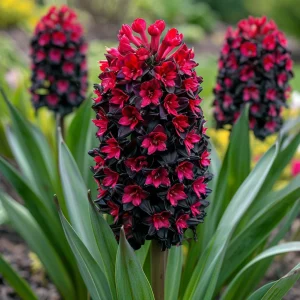 Гиацинт Джем Стоун купить по цене от 2099р. в интернет-магазине «Посадика» с доставкой почтой в в Городеце и по всей России – [изображение №1].