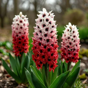 Гиацинт Скай Гарден купить по цене от 2099р. в интернет-магазине «Посадика» с доставкой почтой в в Городеце и по всей России – [изображение №1].